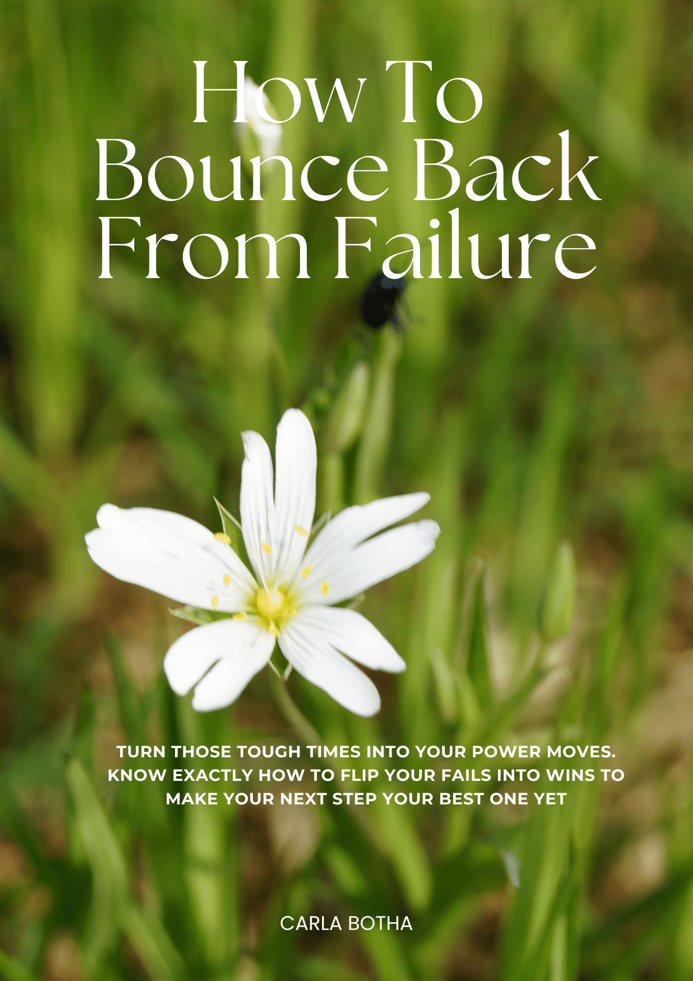 How to bounce back from failure - Thrive Together eBooks